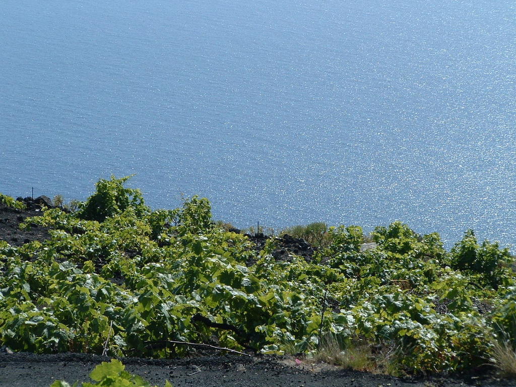 Casa Las Las Vinas Фуэнкальенте-де-ла-Пальма Экстерьер фото