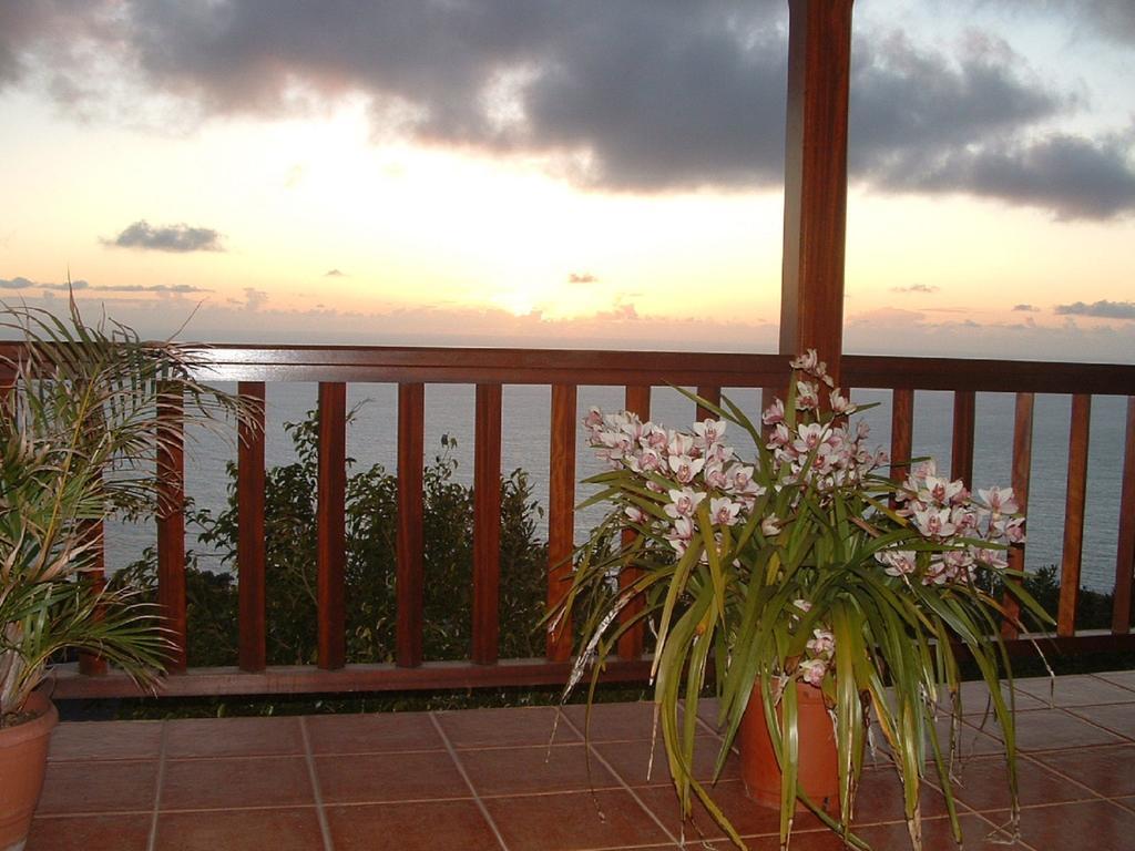 Casa Las Las Vinas Фуэнкальенте-де-ла-Пальма Экстерьер фото
