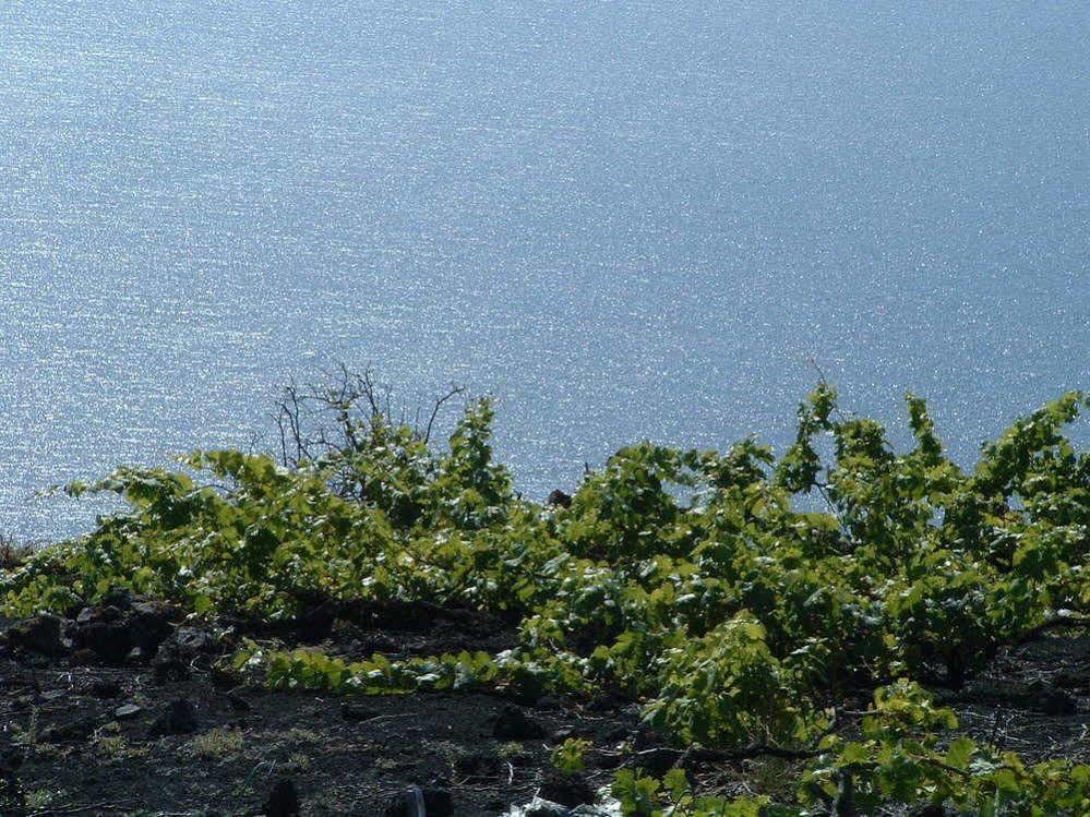 Casa Las Las Vinas Фуэнкальенте-де-ла-Пальма Экстерьер фото